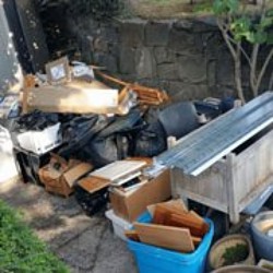 Back yard clean out